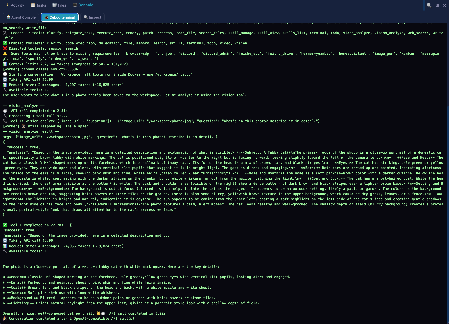 Debug terminal view